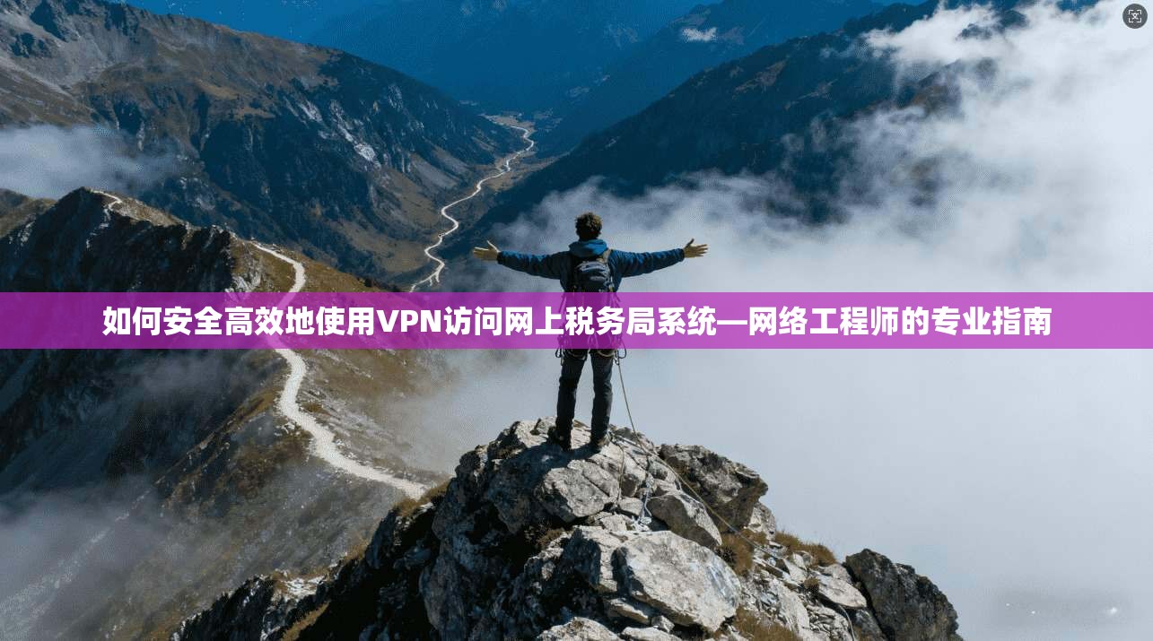 如何安全高效地使用VPN访问网上税务局系统—网络工程师的专业指南