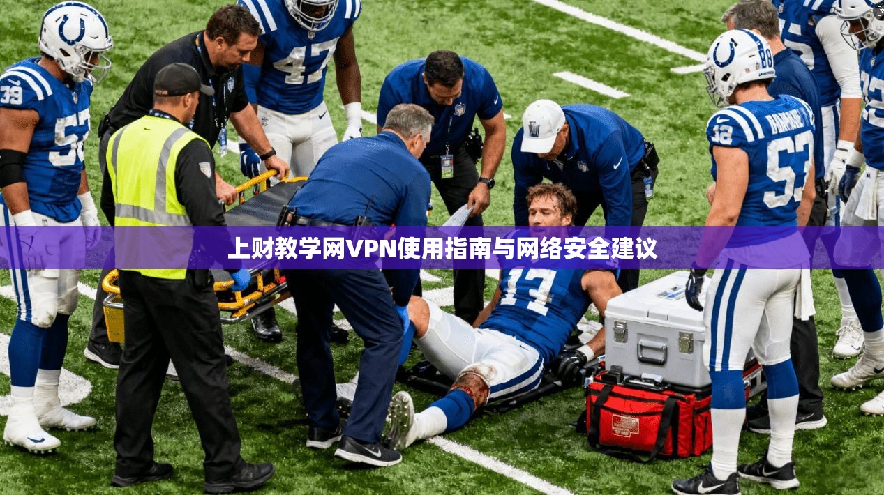 上财教学网VPN使用指南与网络安全建议 上财教学网VPN使用指南与网络安全建议