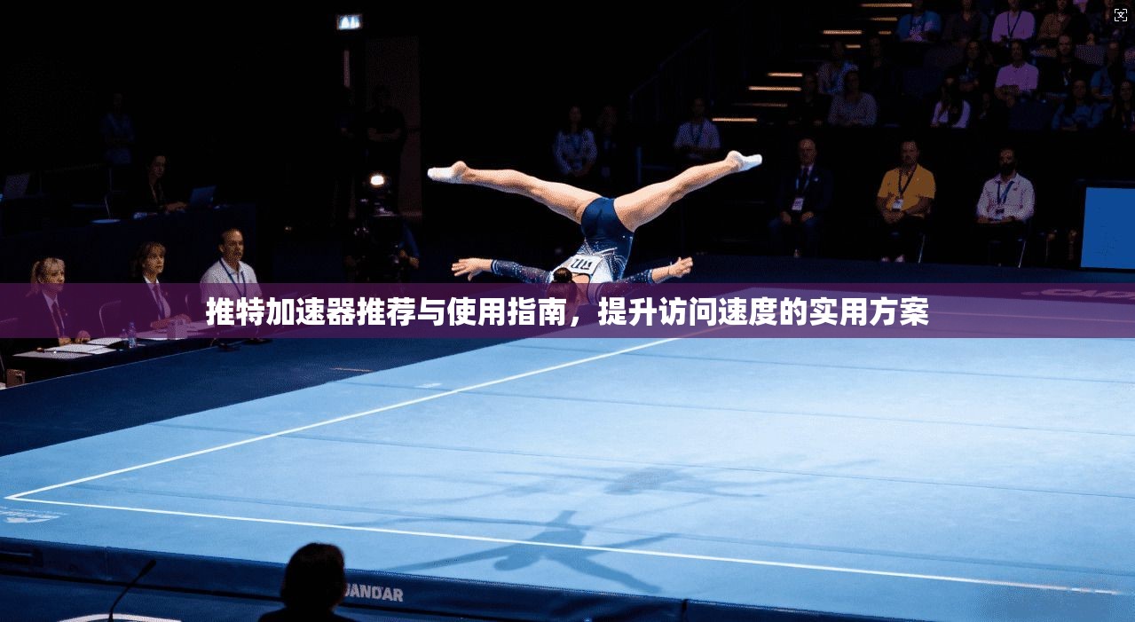 推特加速器推荐与使用指南,提升访问速度的实用方案 推特加速器推荐与使用指南,提升访问速度的实用方案