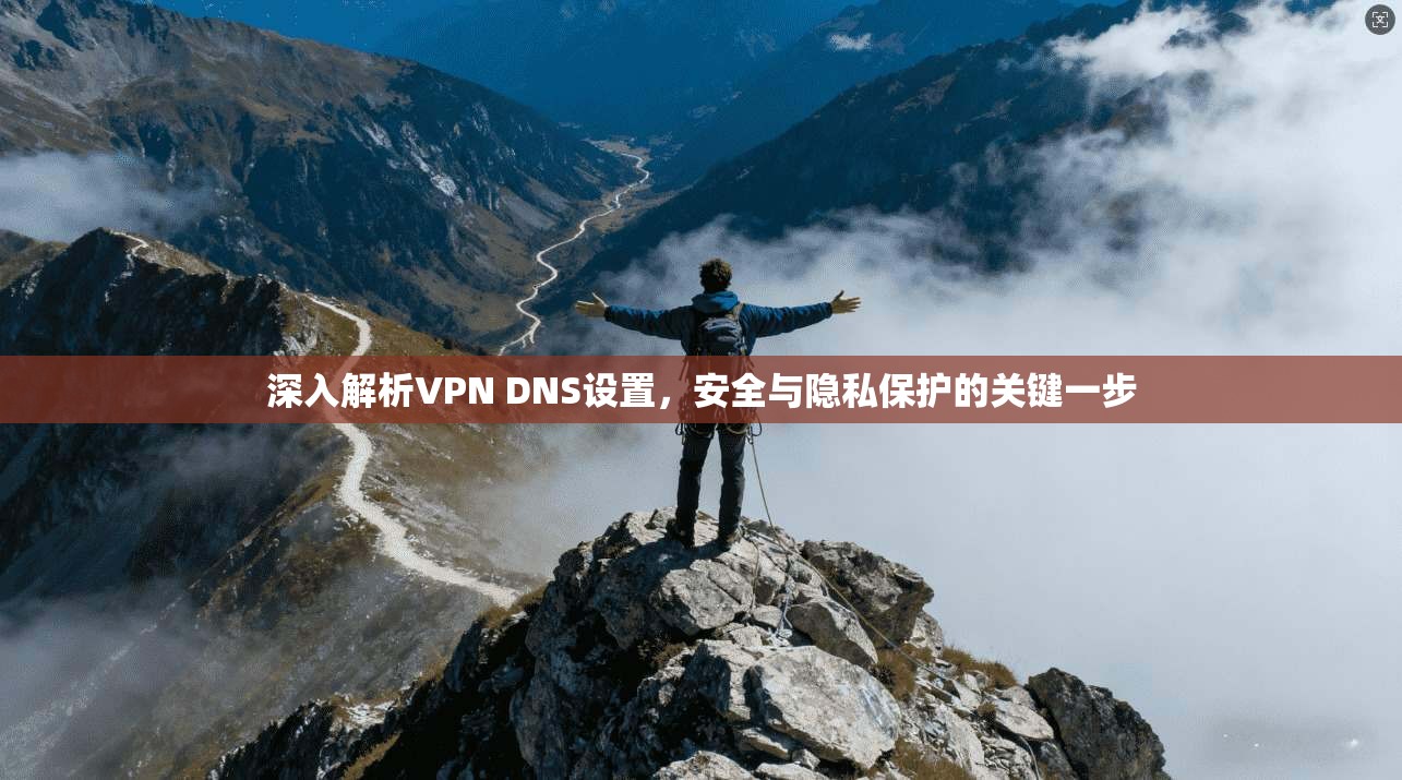 深入解析VPN DNS设置，安全与隐私保护的关键一步