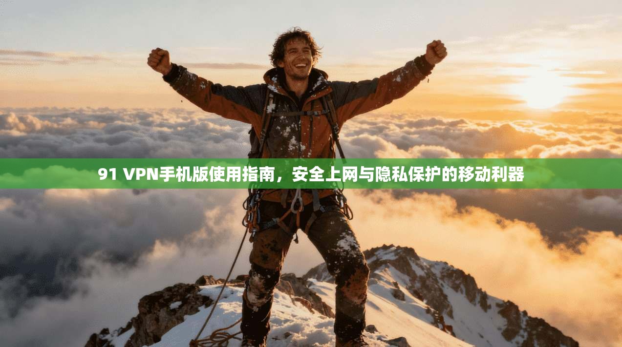 91 VPN手机版使用指南，安全上网与隐私保护的移动利器