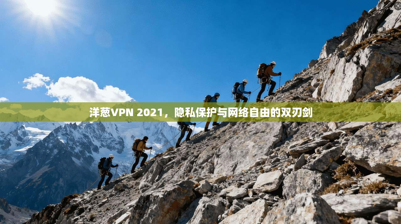 洋葱VPN 2021，隐私保护与网络自由的双刃剑