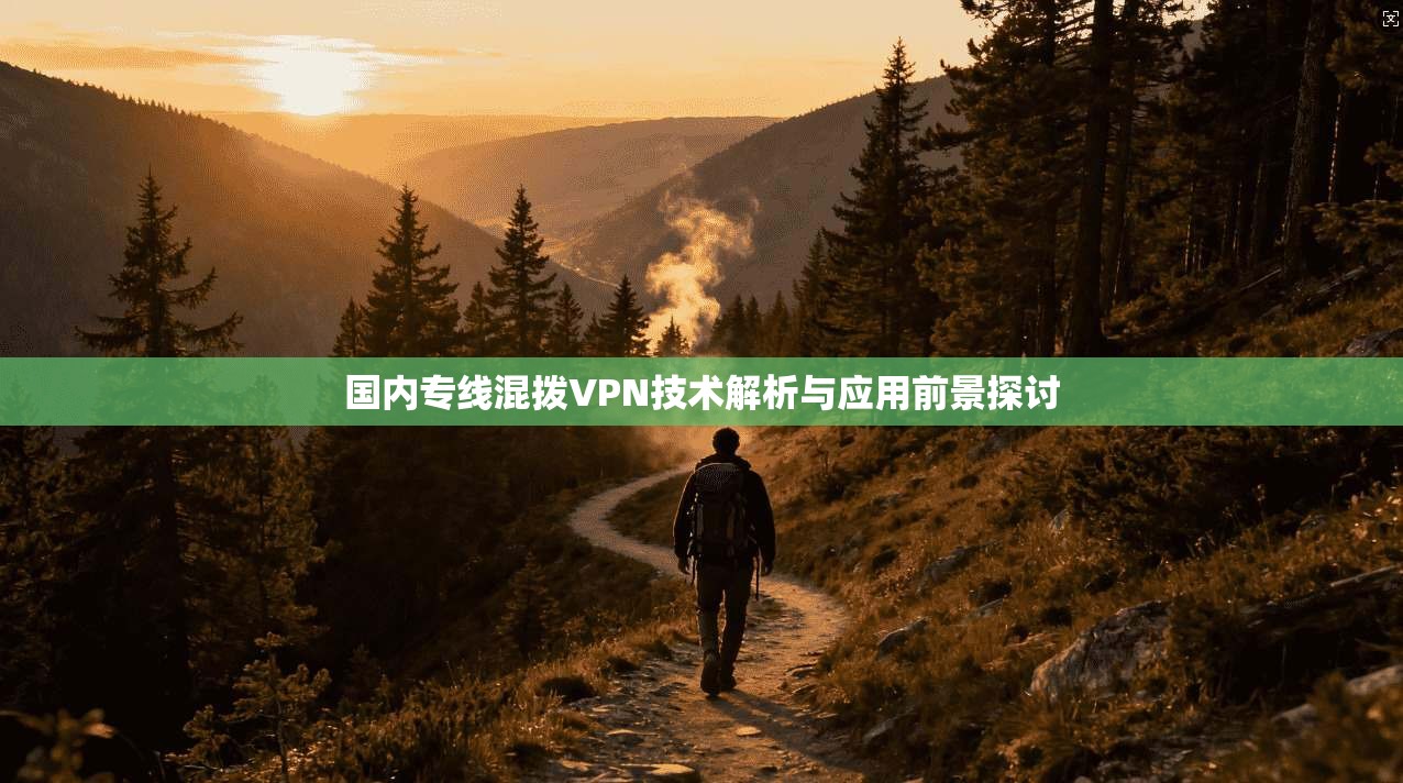 国内专线混拨VPN技术解析与应用前景探讨