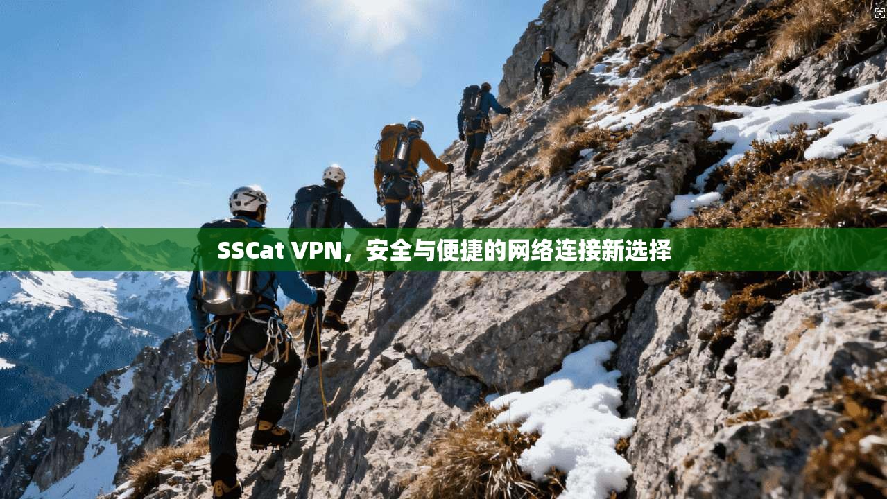 SSCat VPN，安全与便捷的网络连接新选择