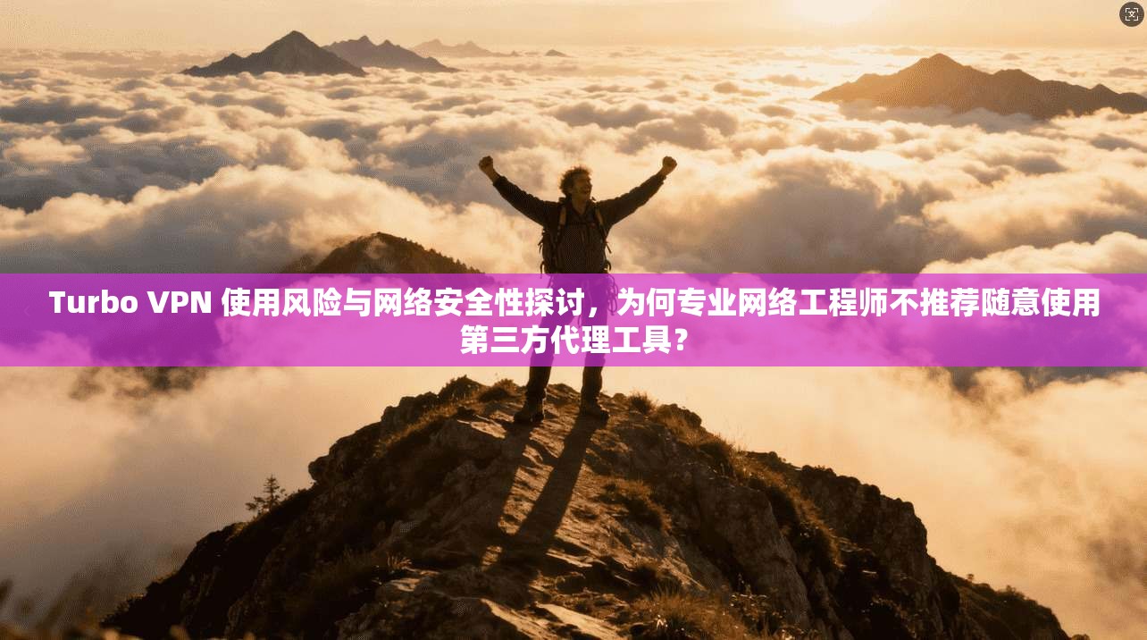 Turbo VPN 使用风险与网络安全性探讨，为何专业网络工程师不推荐随意使用第三方代理工具？
