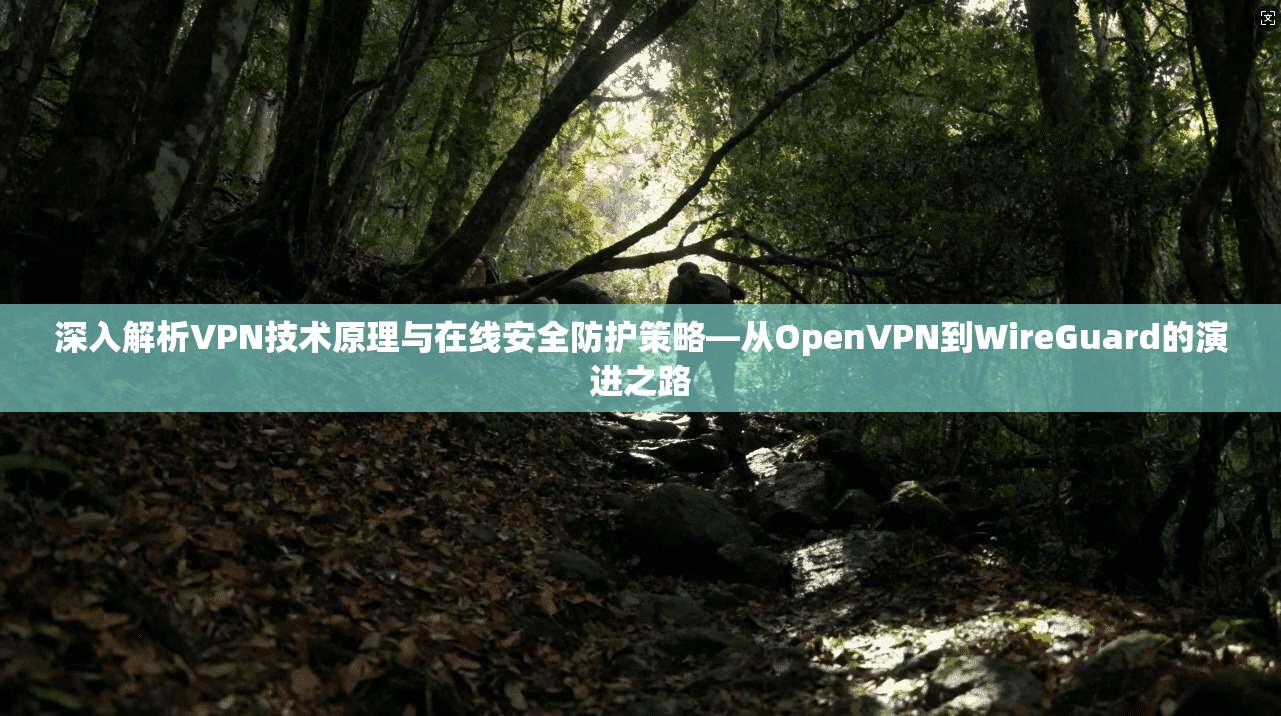 深入解析VPN技术原理与在线安全防护策略—从OpenVPN到WireGuard的演进之路