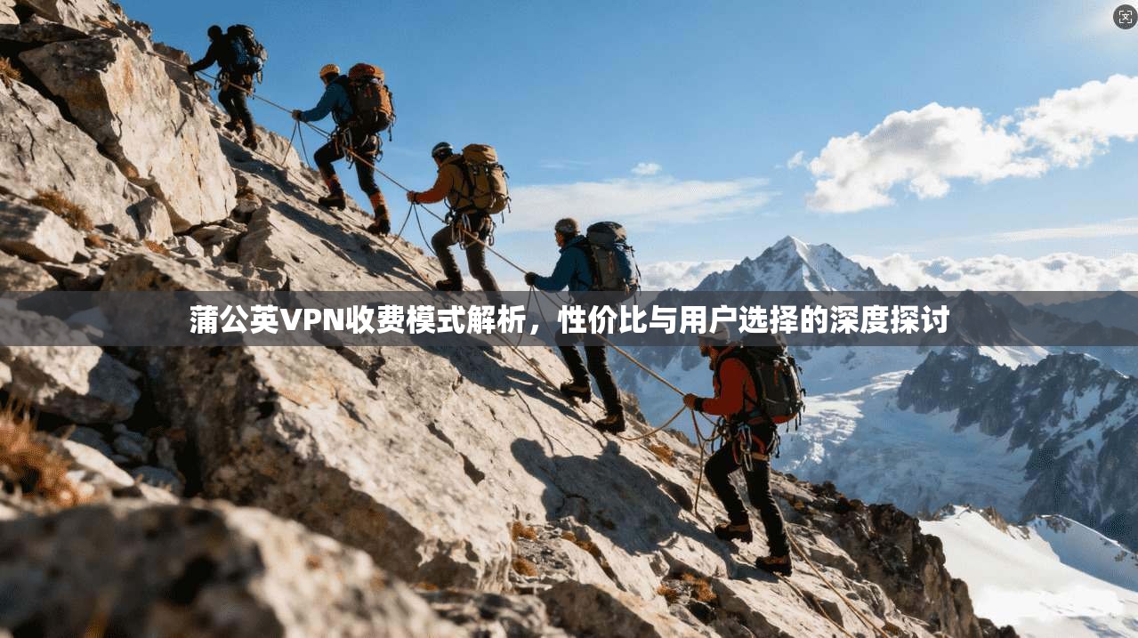 蒲公英VPN收费模式解析，性价比与用户选择的深度探讨