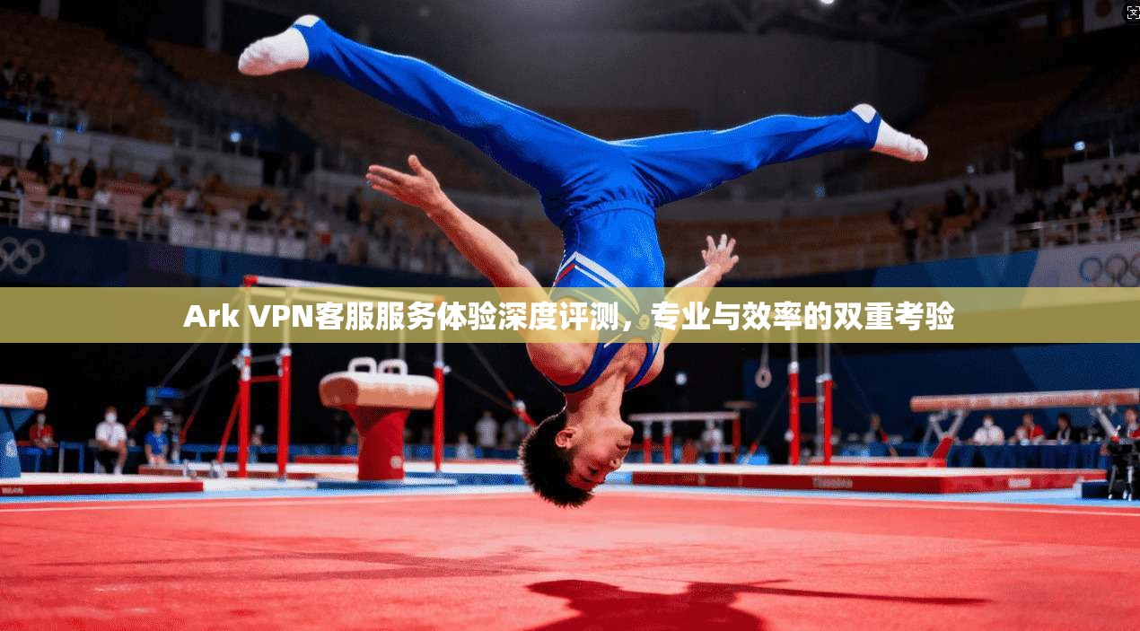 Ark VPN客服服务体验深度评测，专业与效率的双重考验