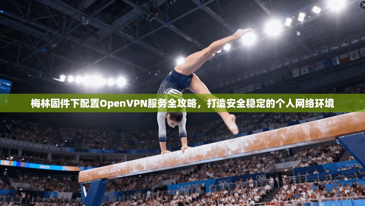 梅林固件下配置OpenVPN服务全攻略，打造安全稳定的个人网络环境