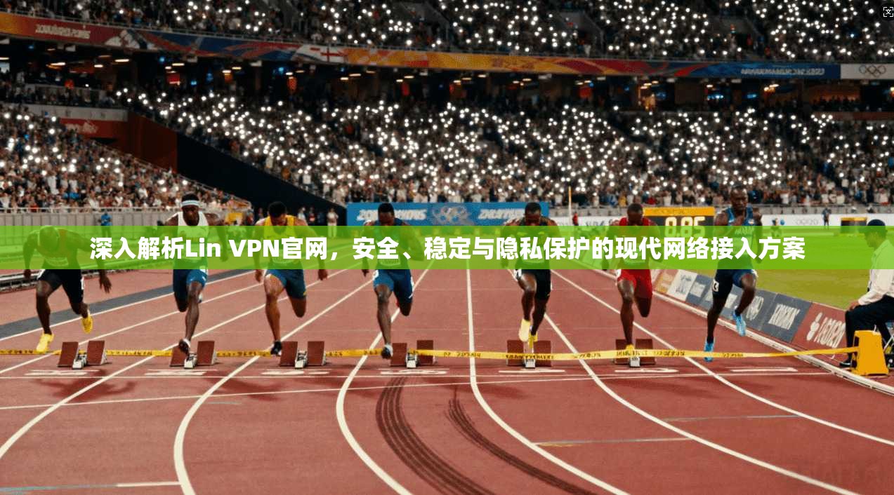 深入解析Lin VPN官网，安全、稳定与隐私保护的现代网络接入方案