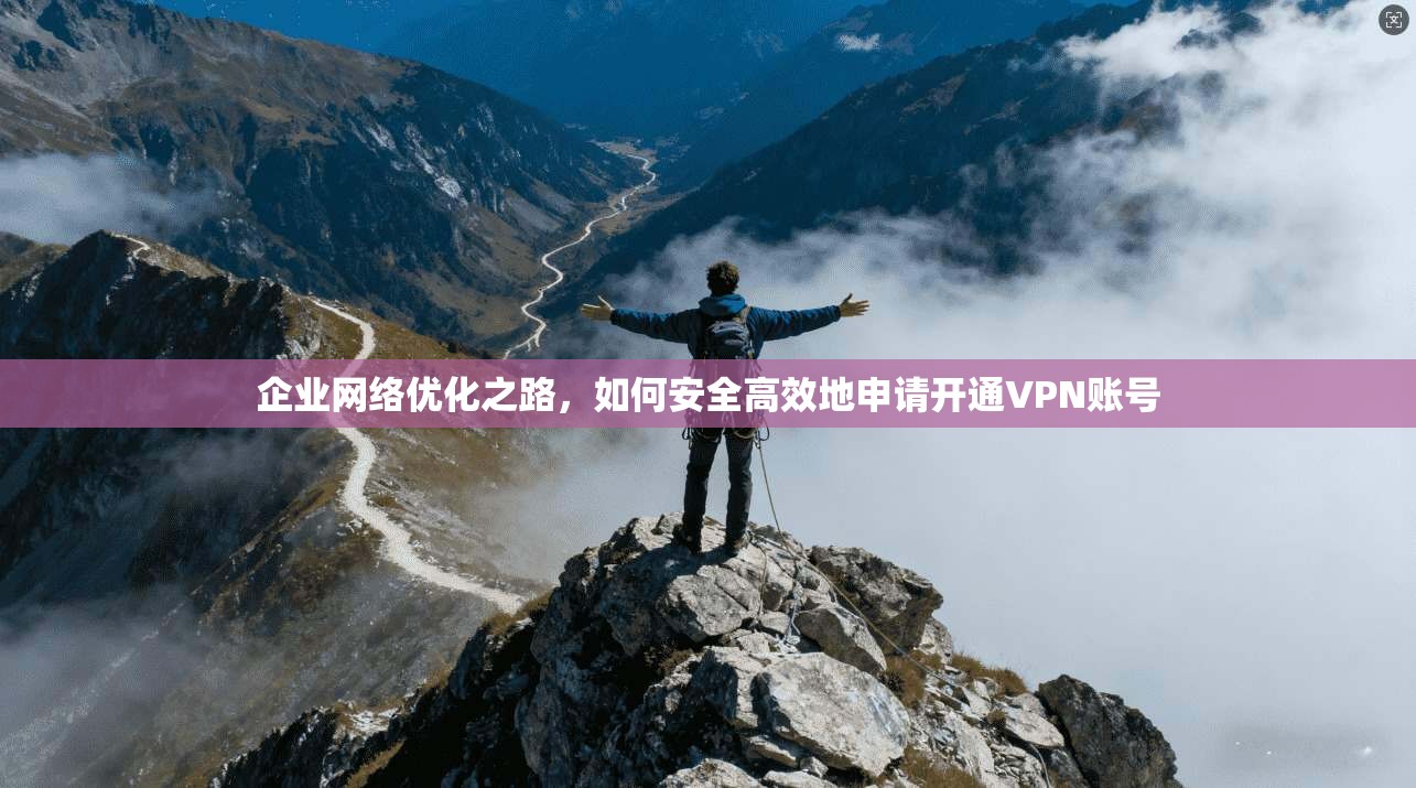 企业网络优化之路，如何安全高效地申请开通VPN账号