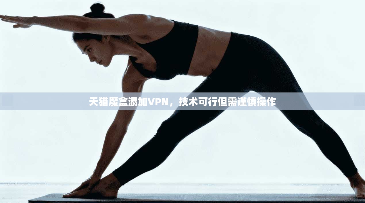 天猫魔盒添加VPN，技术可行但需谨慎操作