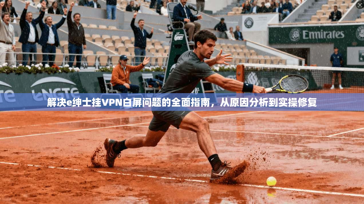 解决e绅士挂VPN白屏问题的全面指南，从原因分析到实操修复