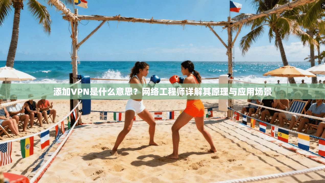 添加VPN是什么意思？网络工程师详解其原理与应用场景