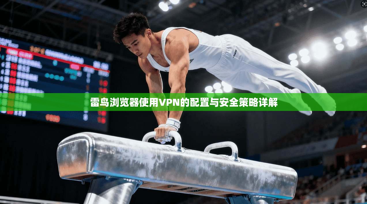 雷鸟浏览器使用VPN的配置与安全策略详解