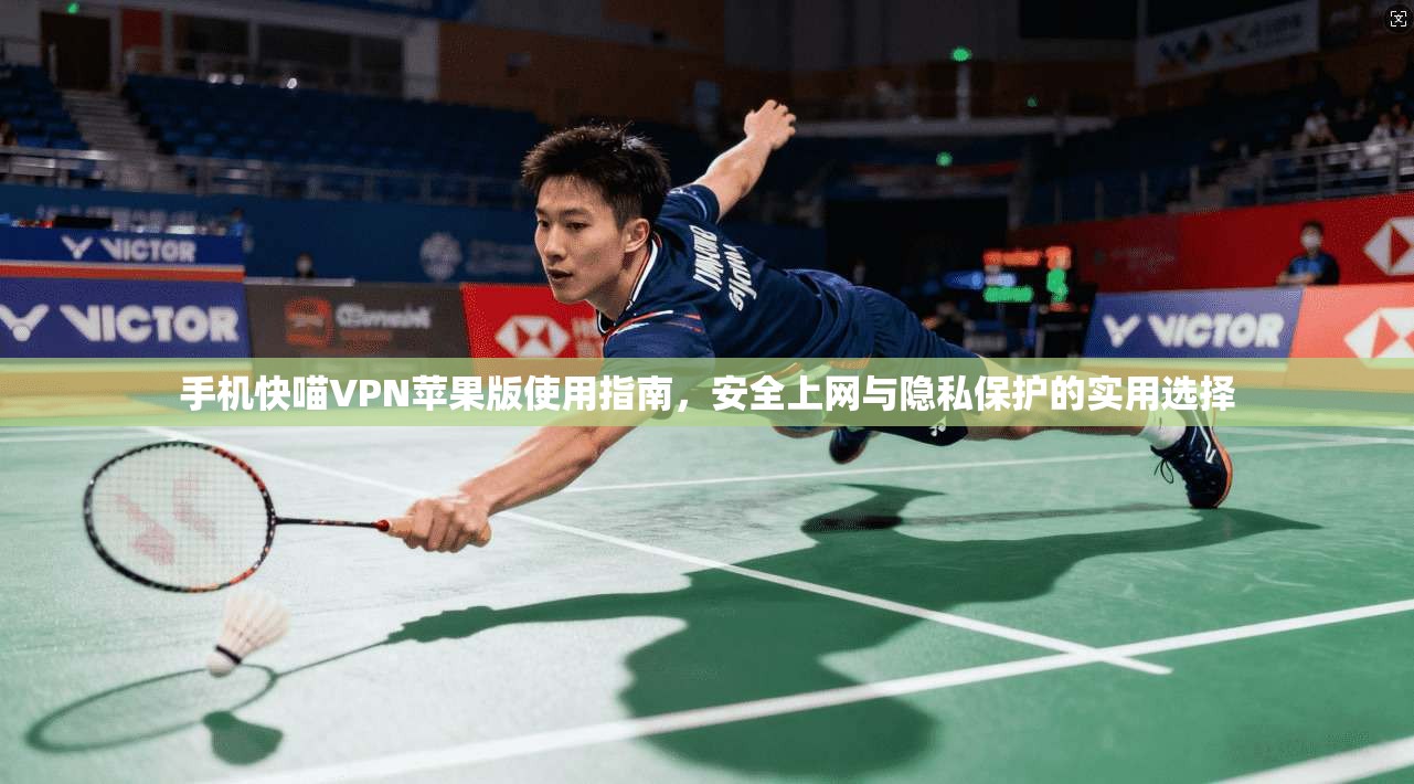 手机快喵VPN苹果版使用指南，安全上网与隐私保护的实用选择