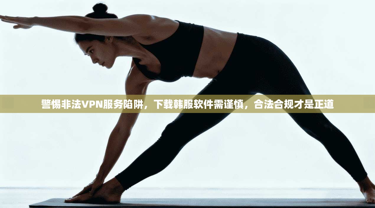 警惕非法VPN服务陷阱,下载韩服软件需谨慎,合法合规才是正道 警惕非法VPN服务陷阱,下载韩服软件需谨慎,合法合规才是正道