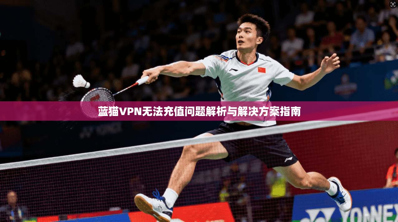 蓝猫VPN无法充值问题解析与解决方案指南
