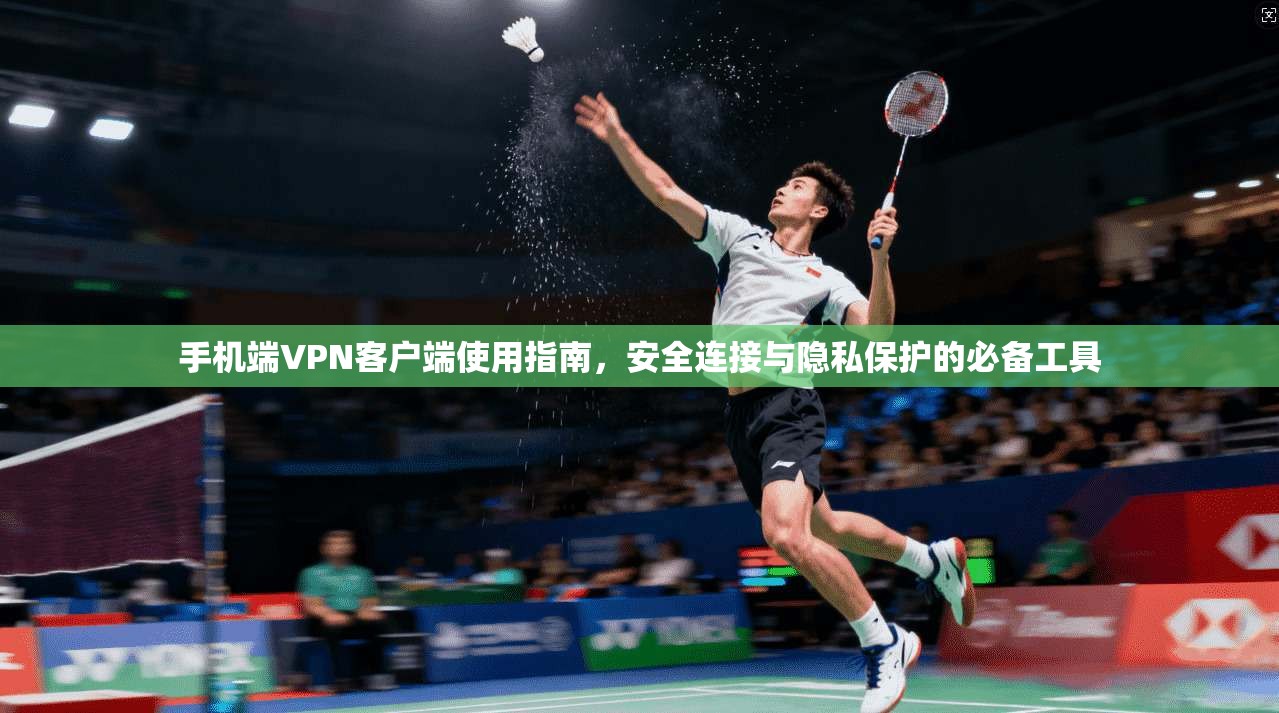 手机端VPN客户端使用指南，安全连接与隐私保护的必备工具
