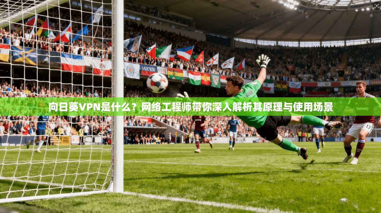 向日葵VPN是什么？网络工程师带你深入解析其原理与使用场景