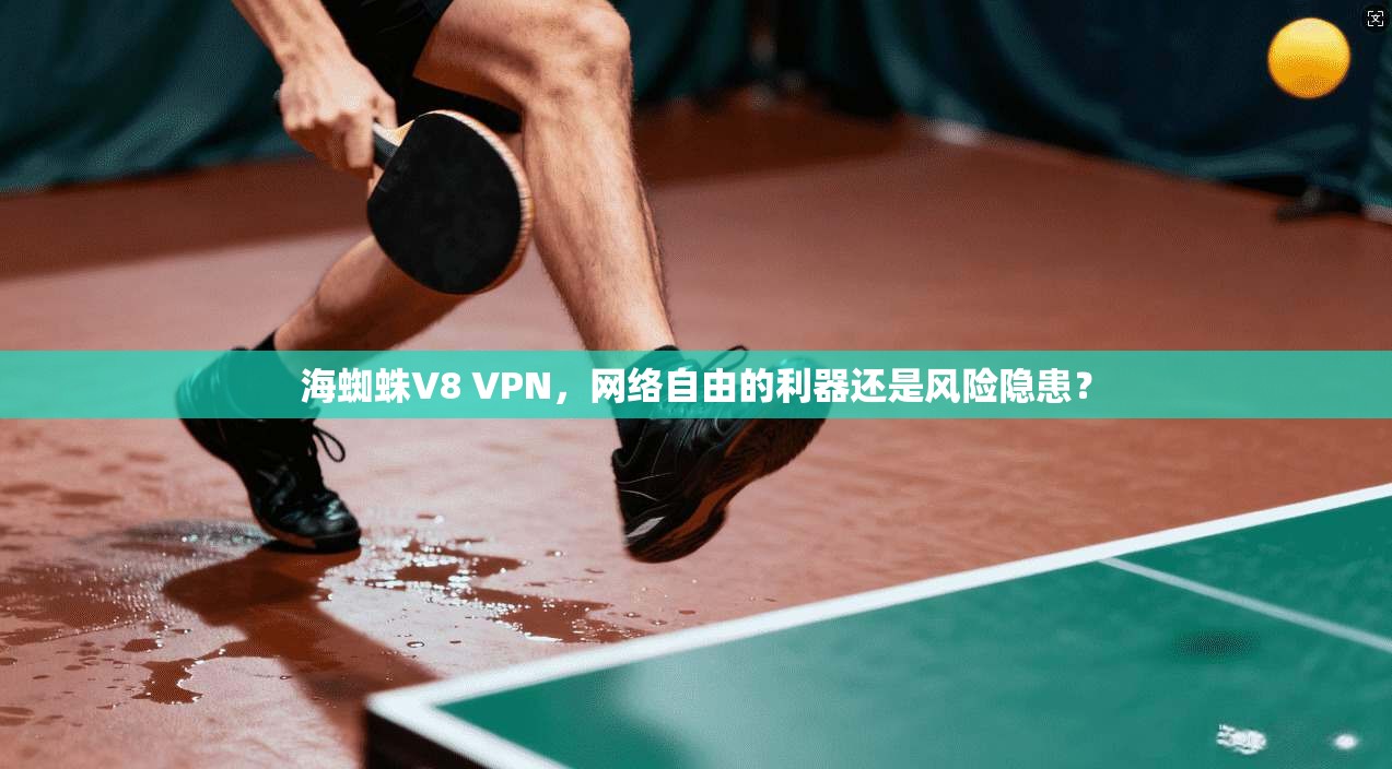 海蜘蛛V8 VPN，网络自由的利器还是风险隐患？