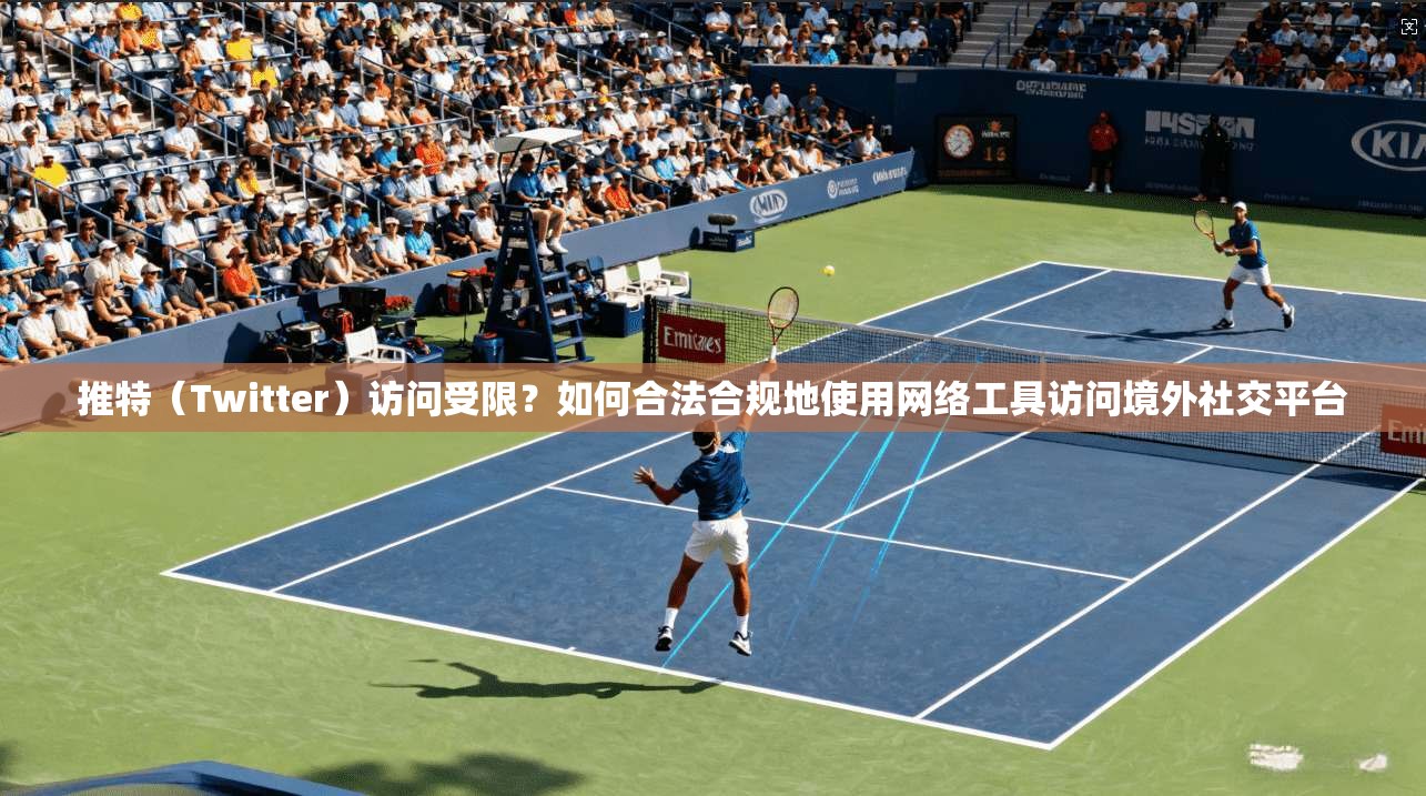 推特（Twitter）访问受限？如何合法合规地使用网络工具访问境外社交平台
