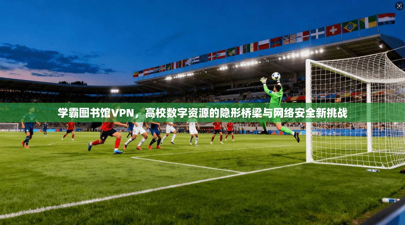 学霸图书馆VPN，高校数字资源的隐形桥梁与网络安全新挑战