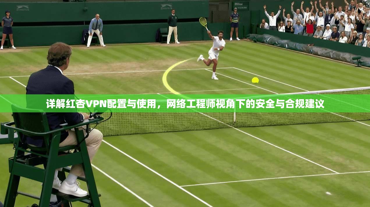 详解红杏VPN配置与使用，网络工程师视角下的安全与合规建议