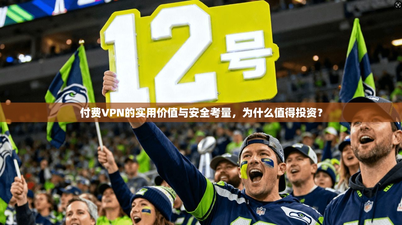 付费VPN的实用价值与安全考量，为什么值得投资？
