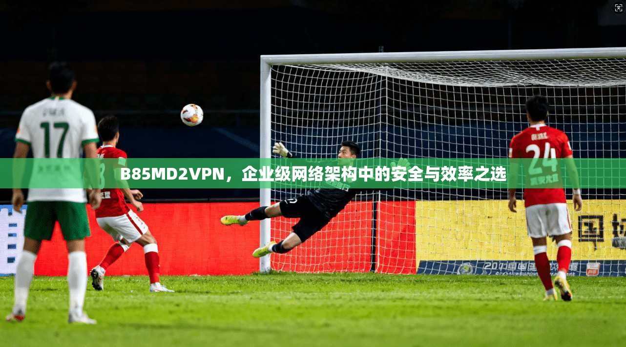 B85MD2VPN，企业级网络架构中的安全与效率之选