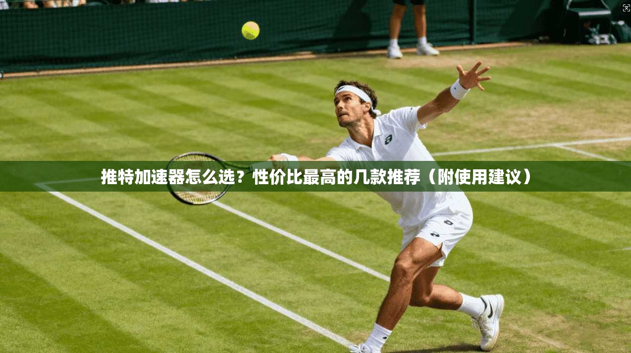 推特加速器怎么选？性价比最高的几款推荐（附使用建议）