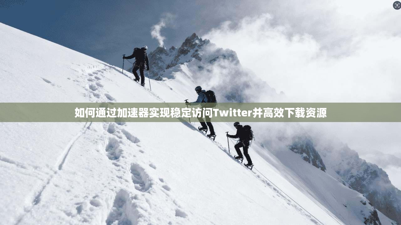 如何通过加速器实现稳定访问Twitter并高效下载资源