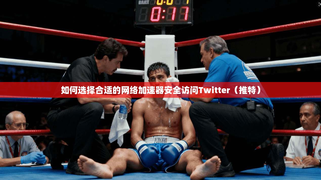 如何选择合适的网络加速器安全访问Twitter（推特）