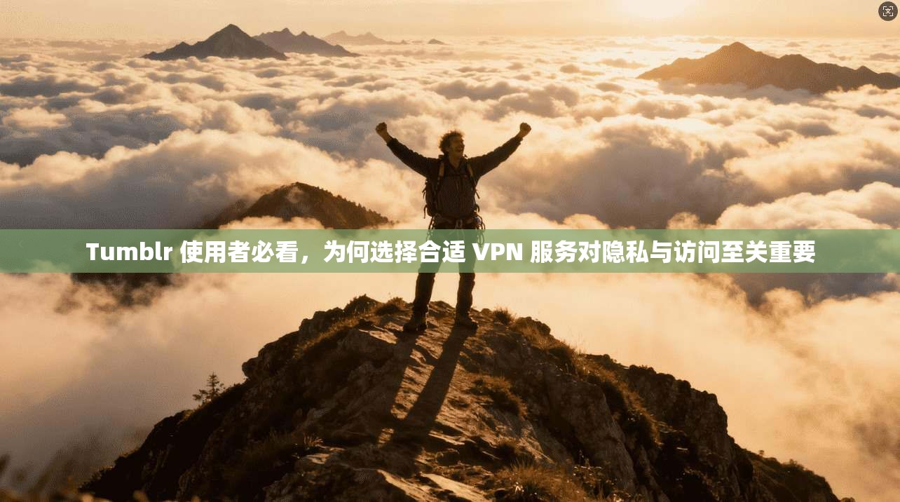 Tumblr 使用者必看，为何选择合适 VPN 服务对隐私与访问至关重要