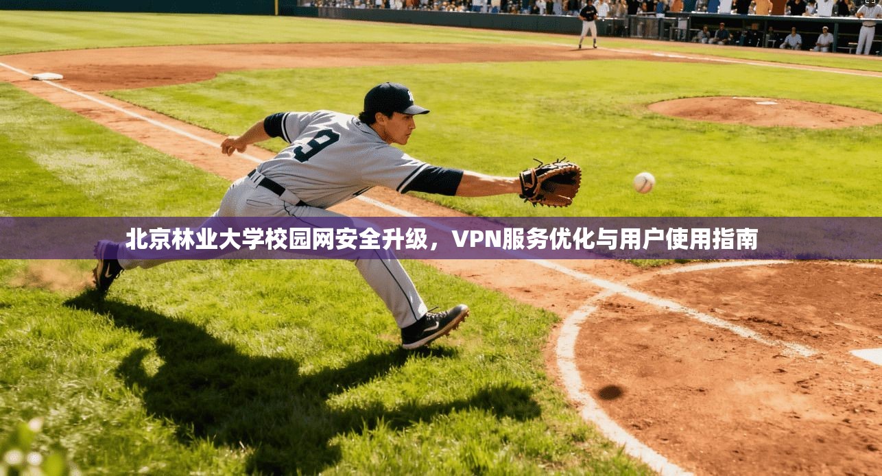 北京林业大学校园网安全升级，VPN服务优化与用户使用指南