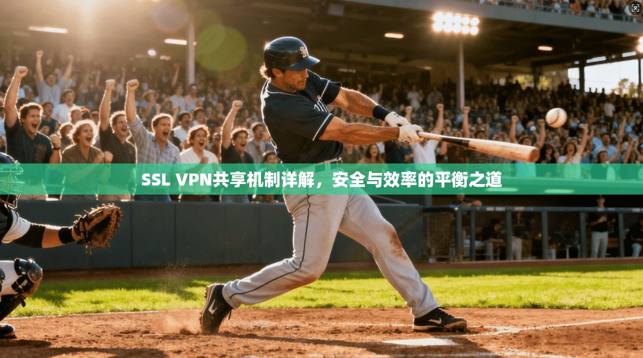 SSL VPN共享机制详解，安全与效率的平衡之道