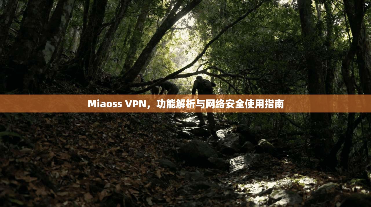 Miaoss VPN，功能解析与网络安全使用指南