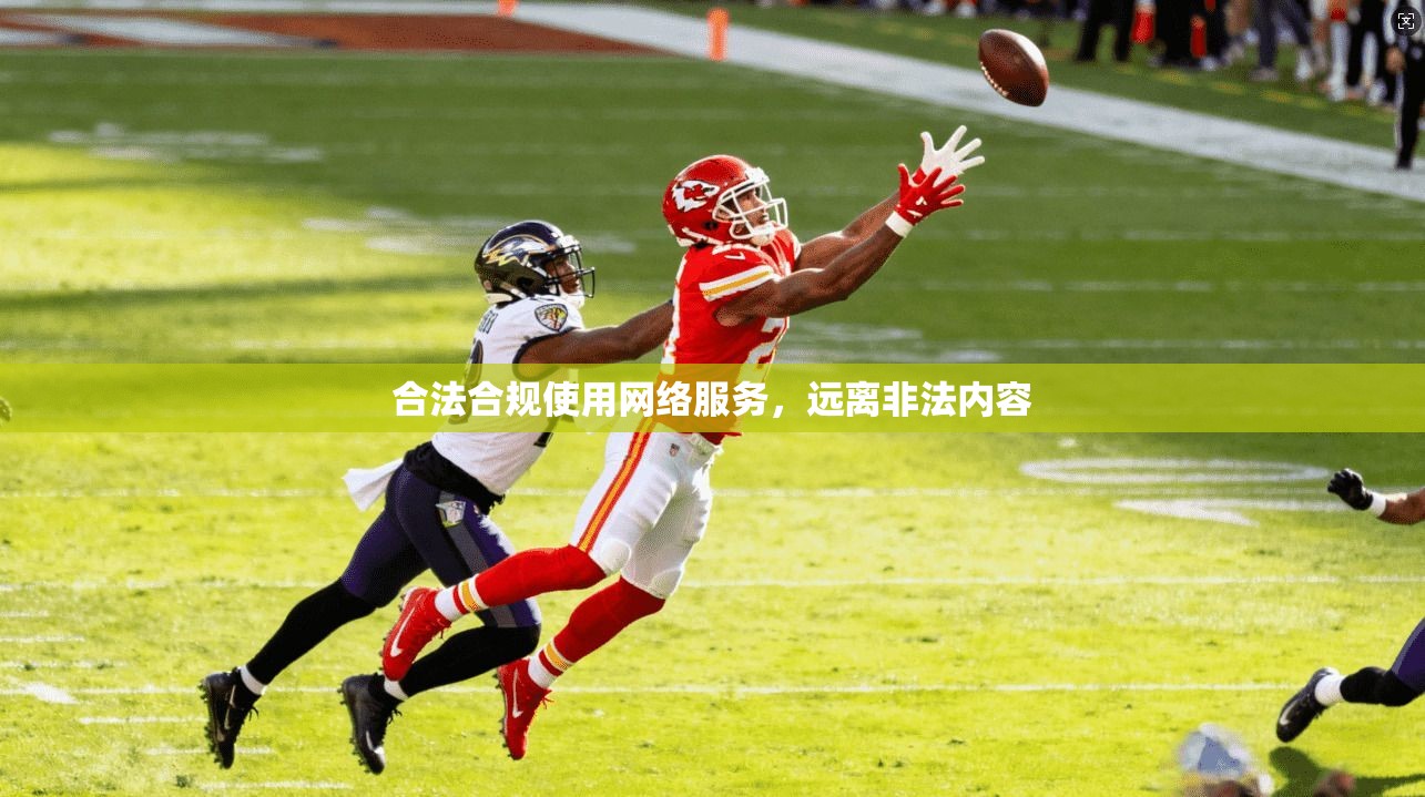 合法合规使用网络服务，远离非法内容
