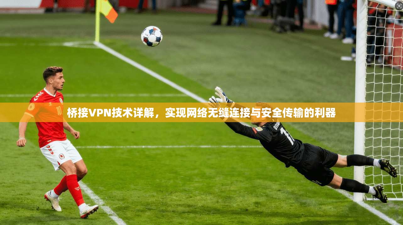 桥接VPN技术详解，实现网络无缝连接与安全传输的利器