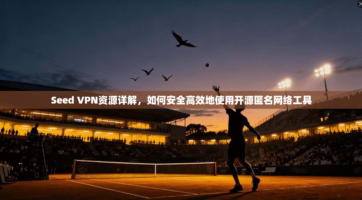 Seed VPN资源详解，如何安全高效地使用开源匿名网络工具
