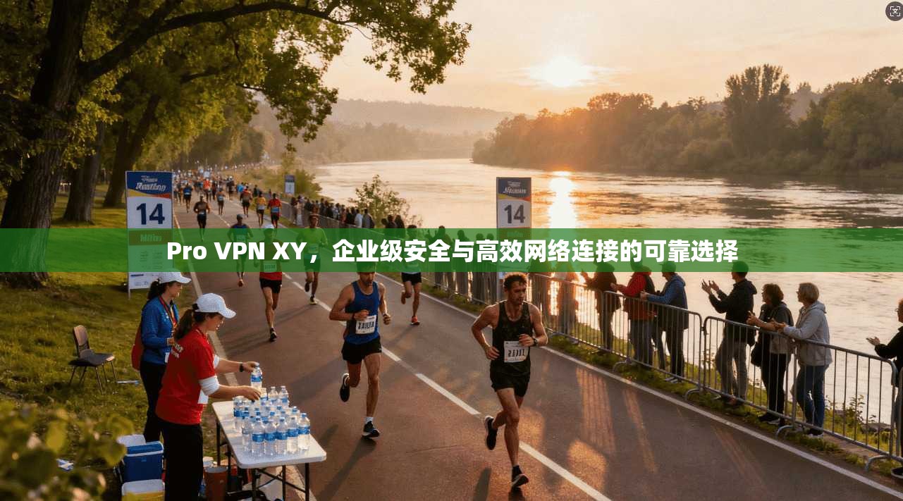 Pro VPN XY，企业级安全与高效网络连接的可靠选择
