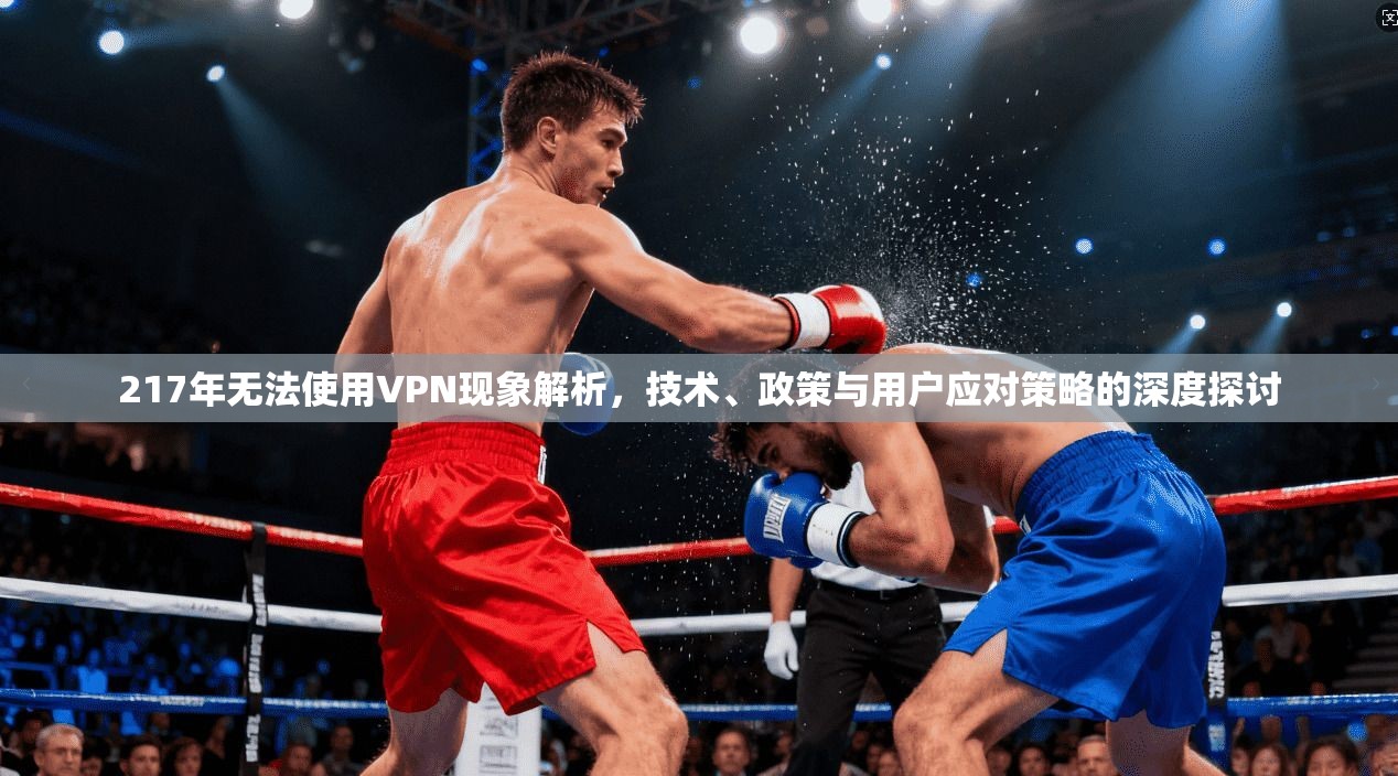 217年无法使用VPN现象解析，技术、政策与用户应对策略的深度探讨