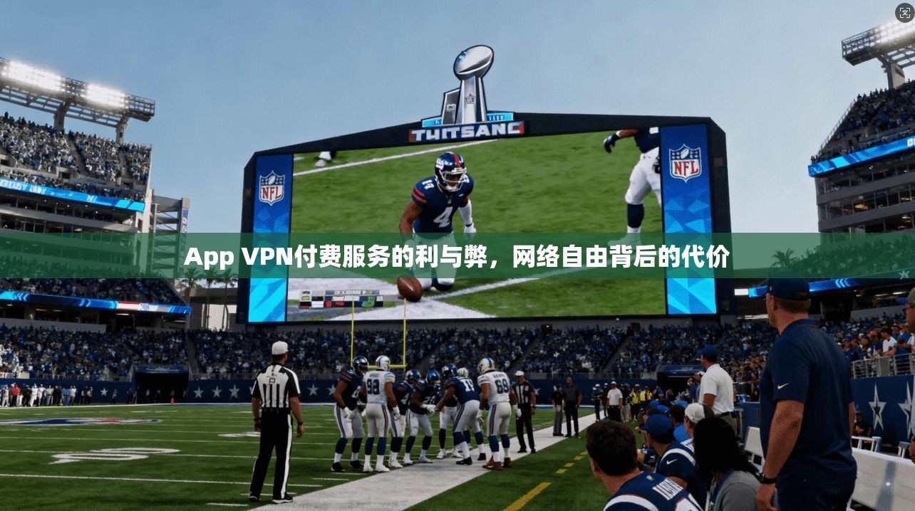 App VPN付费服务的利与弊，网络自由背后的代价