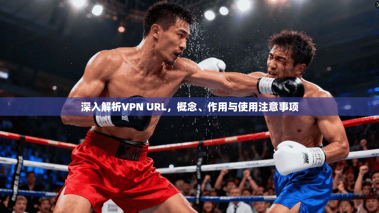 深入解析VPN URL，概念、作用与使用注意事项