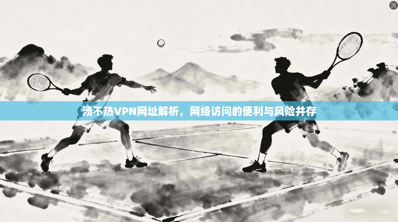 汤不热VPN网址解析,网络访问的便利与风险并存 汤不热VPN网址解析,网络访问的便利与风险并存