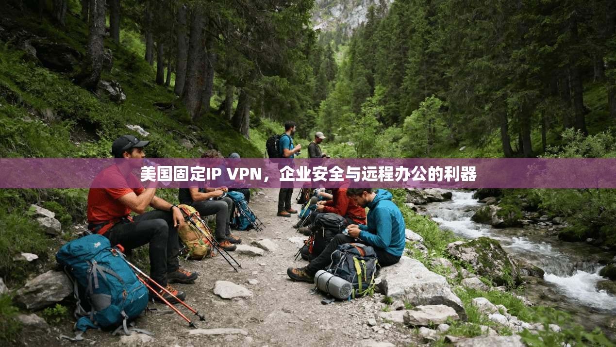 美国固定IP VPN，企业安全与远程办公的利器