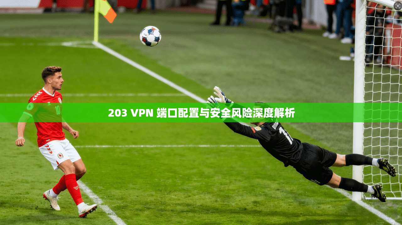 203 VPN 端口配置与安全风险深度解析