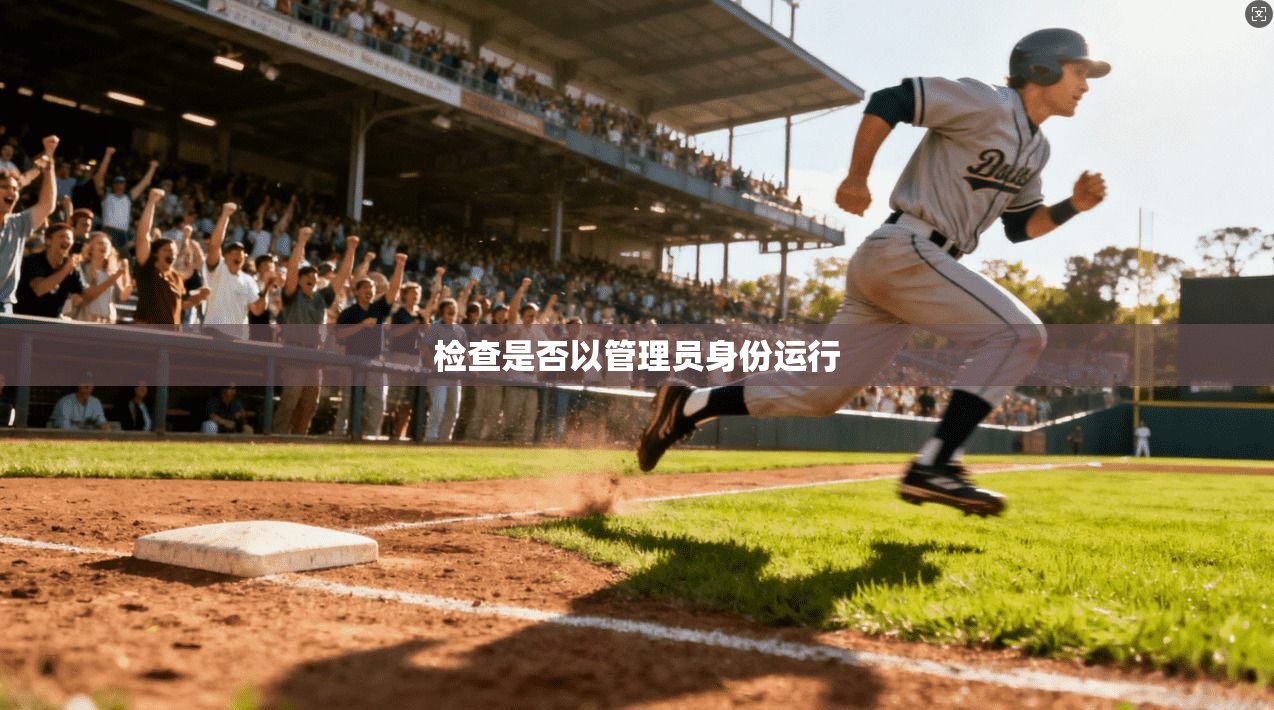 检查是否以管理员身份运行
