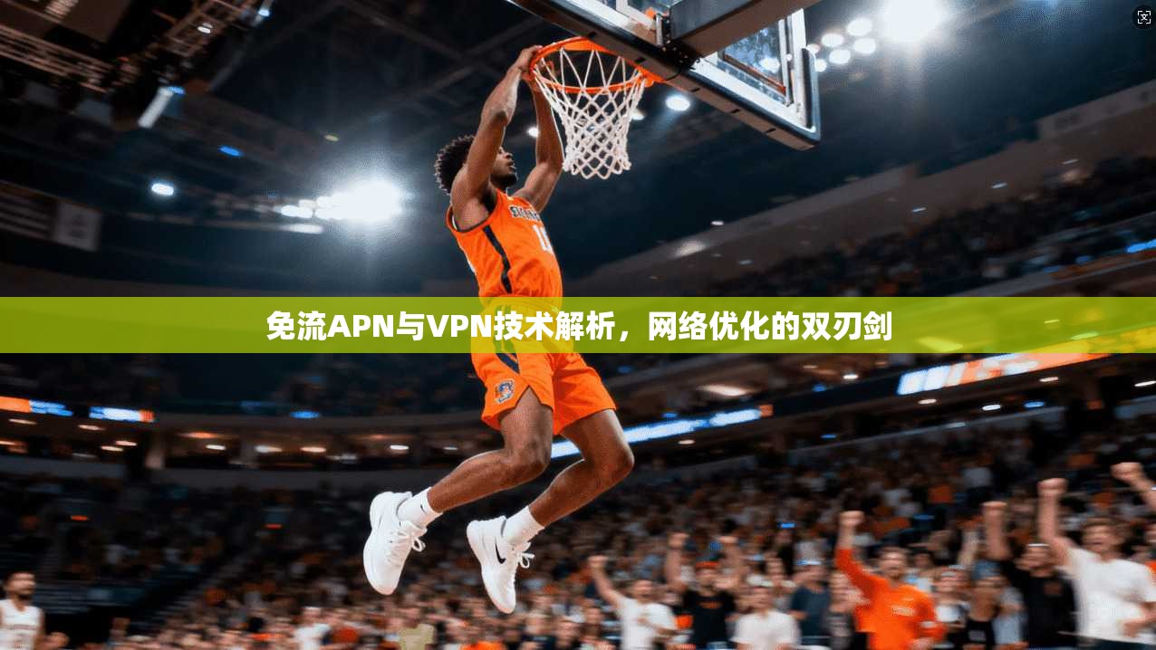 免流APN与VPN技术解析,网络优化的双刃剑 免流APN与VPN技术解析,网络优化的双刃剑