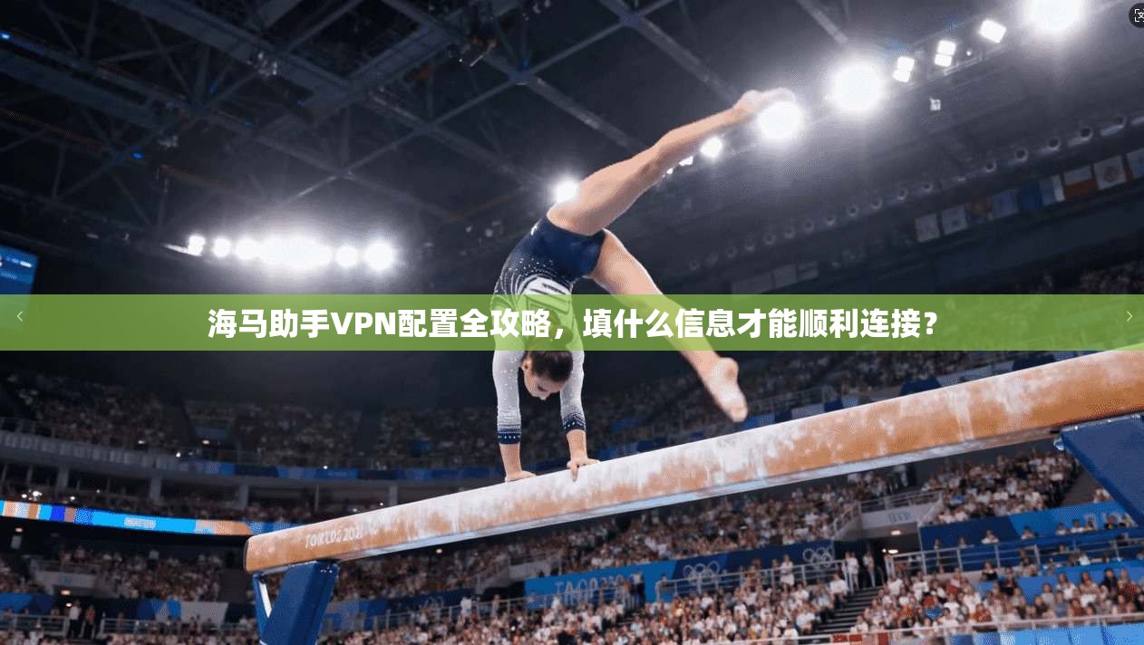海马助手VPN配置全攻略，填什么信息才能顺利连接？